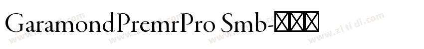 GaramondPremrPro Smb字体转换